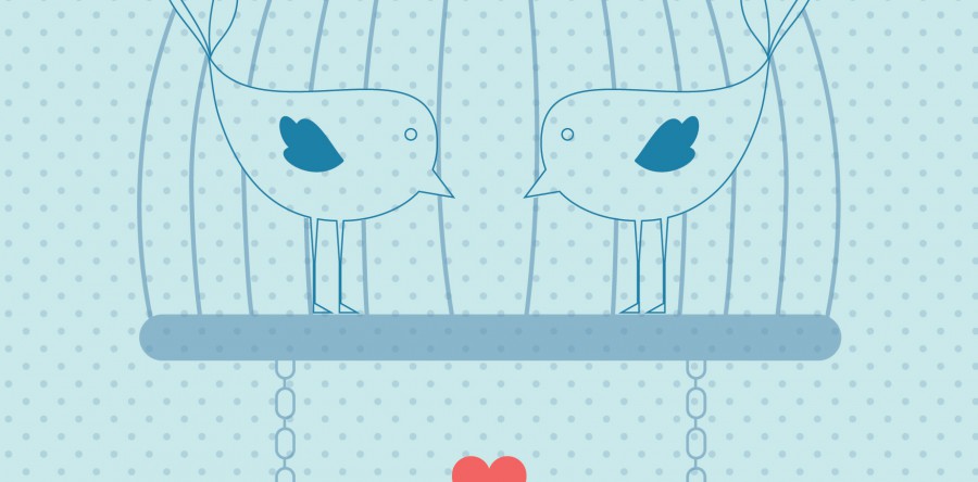 Treinamento na gaiola